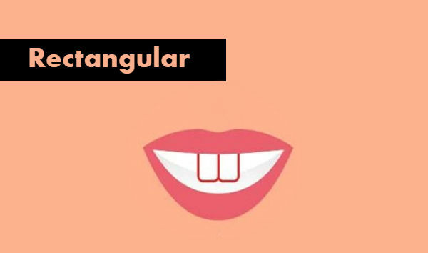 Picture 4 of Two incisors reveal little mystery about you