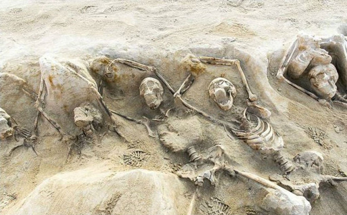 Picture 2 of Two mass graves have been excavated in Greece