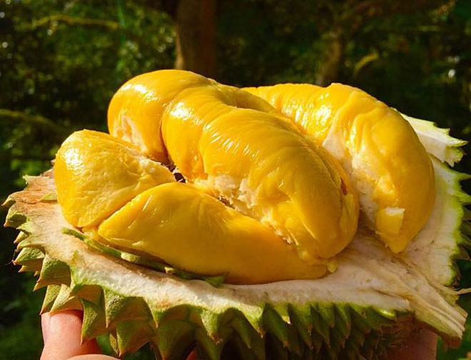 Picture 1 of Two types of fruit should not be used when drinking alcohol