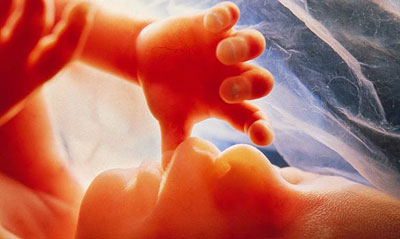 Picture 1 of Two years can be implanted in the womb