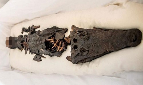 Two-headed mummy sows fear in the Sultanate palace