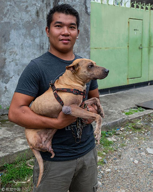 Picture 2 of Two-legged dog with the strength of the person who must respect