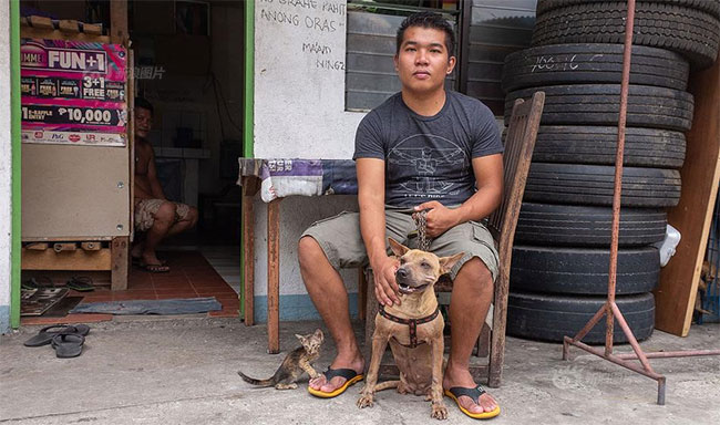 Picture 4 of Two-legged dog with the strength of the person who must respect