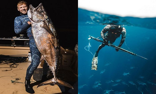 Picture 1 of Two-meter dog tuna is caught by New Zealand fishermen