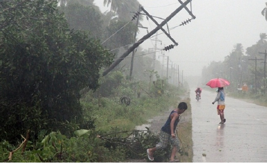Picture 10 of Typhoon Bopha swept in the Philippines, 238 died