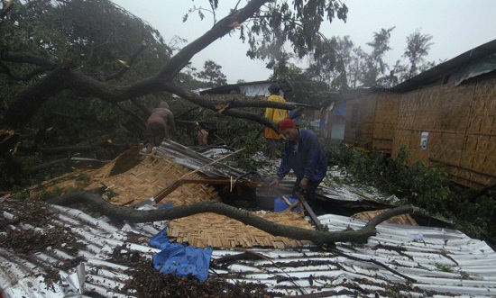 Picture 4 of Typhoon Bopha swept in the Philippines, 238 died