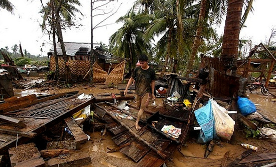Picture 5 of Typhoon Bopha swept in the Philippines, 238 died