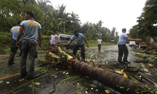 Picture 9 of Typhoon Bopha swept in the Philippines, 238 died