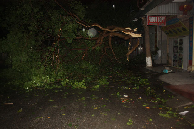Picture 1 of Typhoon Mirinae in Nam Dinh - Ninh Binh