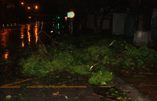 Picture 3 of Typhoon Mirinae in Nam Dinh - Ninh Binh
