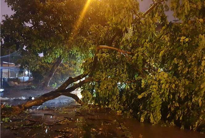 Picture 1 of Typhoons in Quang Ninh cause flooding in Mong Cai, Hanoi and heavy rains threaten to flood many streets