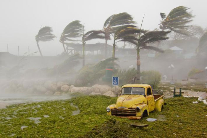 Picture 3 of Typhoons move more slowly worldwide