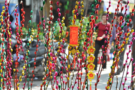 Picture 3 of Typical flowers of spring