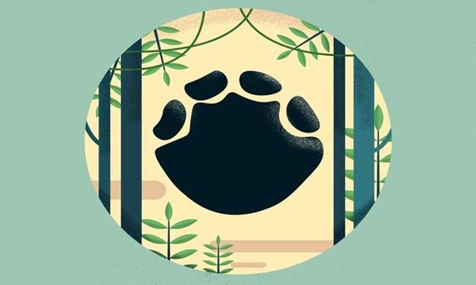 Picture 10 of Typical footprints of animals in the world