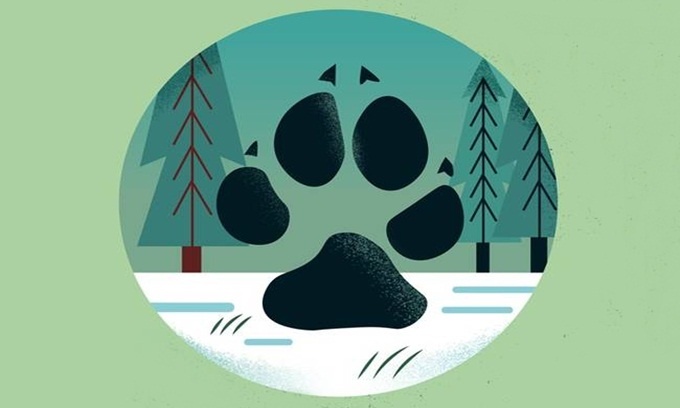 Picture 2 of Typical footprints of animals in the world