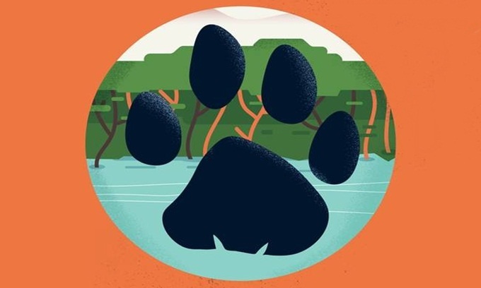 Picture 3 of Typical footprints of animals in the world