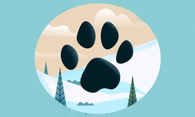 Picture 4 of Typical footprints of animals in the world