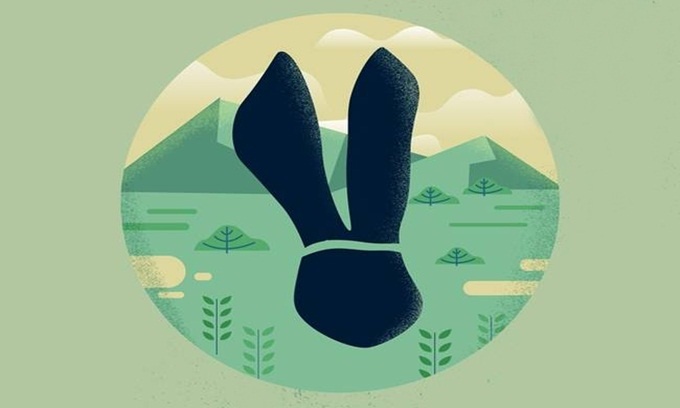Picture 8 of Typical footprints of animals in the world