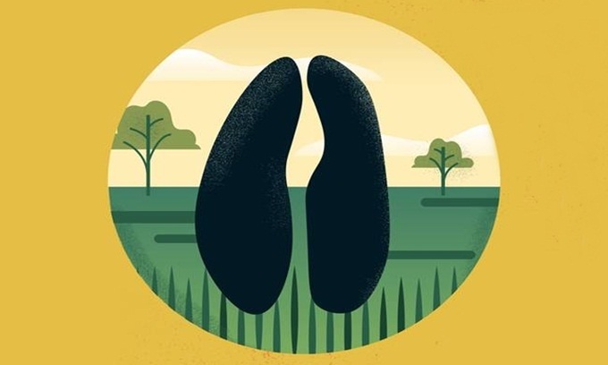 Picture 9 of Typical footprints of animals in the world