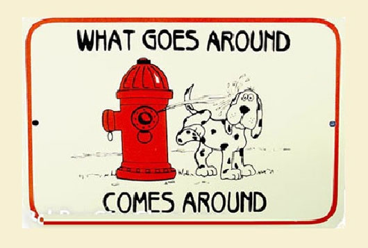 Picture 3 of Typical misconceptions in life through scientific