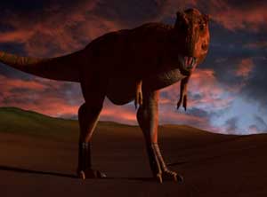 Picture 1 of Tyrannosaurus is an agile or sluggish animal?