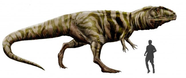 Picture 3 of Tyrannosaurus T-rex and Giganotosaurus, which one will win?