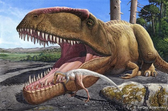 Picture 9 of Tyrannosaurus T-rex and Giganotosaurus, which one will win?