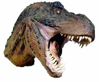 Picture 2 of Tyrant dinosaur: Sensitive animals
