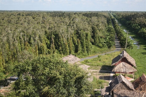 Picture 1 of U Minh Thuong National Park becomes an ASEAN Heritage Garden