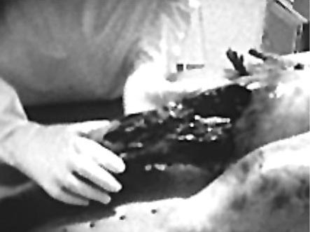 Picture 7 of UFO in Roswell: a hidden truth?
