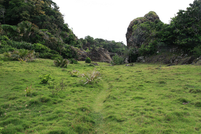 Picture 2 of Ujung Kulun National Park - Indonesia