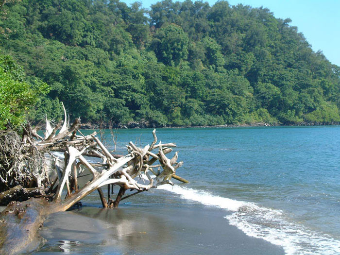 Picture 4 of Ujung Kulun National Park - Indonesia