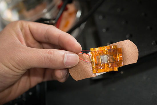 Picture 1 of Ultra-sensitive sensors - prospects for artificial skin