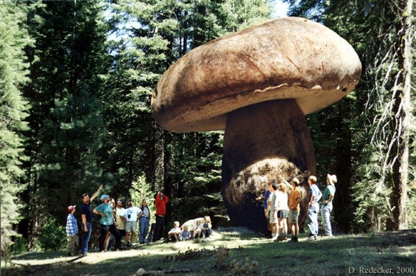 Picture 5 of 'Unbelievable' 13 strange facts about the Earth