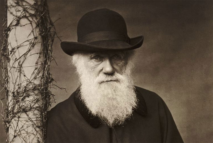 Picture 1 of Unbelievable stories about father theory of evolution