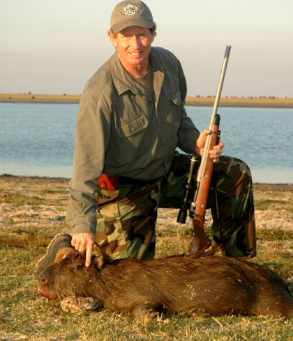 Picture 6 of Unbelievable story about a pig-like rat in South America