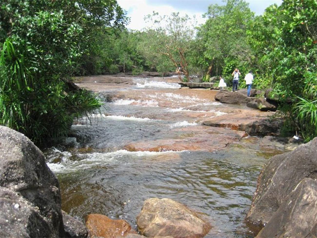 Picture 5 of Unbelievably between the four surface waters, Phu Quoc has a strange and poisonous fish