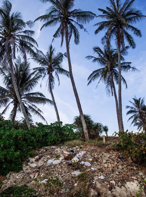Picture 10 of Unbelievably shocking images of garbage in Ly Son
