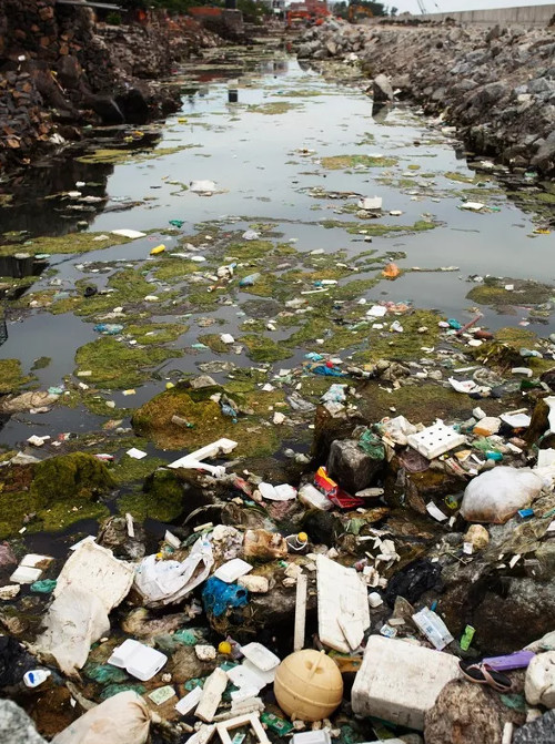 Picture 11 of Unbelievably shocking images of garbage in Ly Son