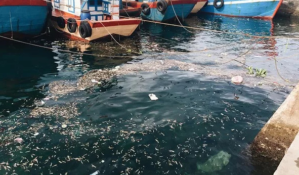 Picture 6 of Unbelievably shocking images of garbage in Ly Son