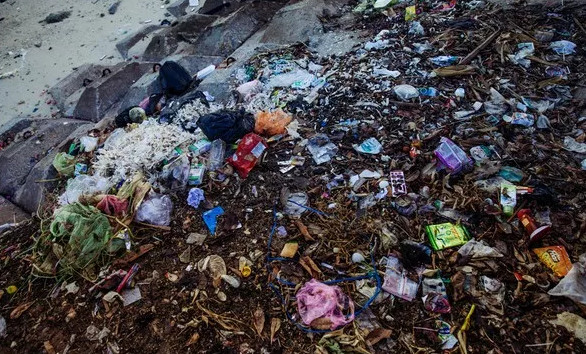 Picture 9 of Unbelievably shocking images of garbage in Ly Son