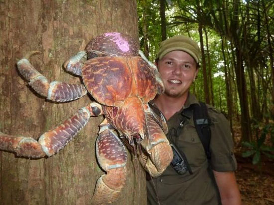Picture 4 of Unbelievably strange animals (2)