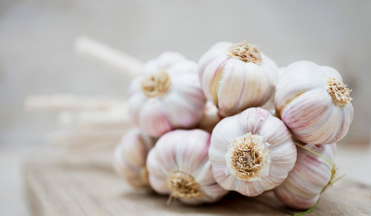 Picture 1 of Understand how to correct the concept: 'Garlic except evil spirits'?