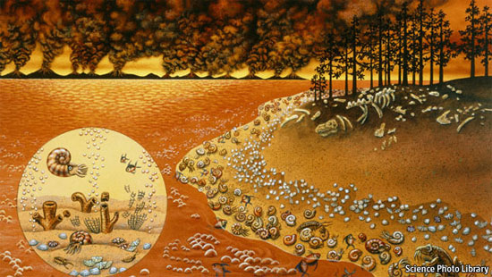 Picture 4 of Understanding the formation of fossils in nature (2)