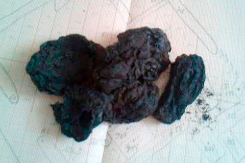 Picture 3 of Unearth burnt house ruins, discover 400-year-old baked radish