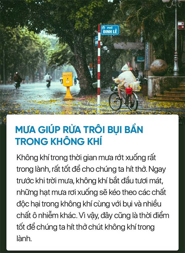 Picture 5 of Unexpected benefits of rain that few people know