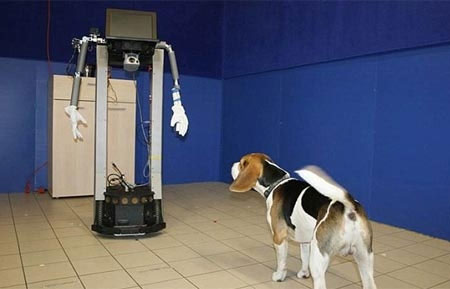 Picture 1 of Unexpected discovery of dog loyalty