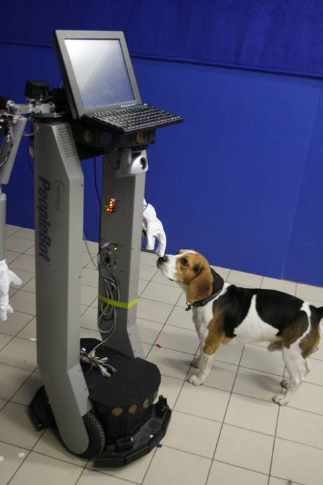 Picture 2 of Unexpected discovery of dog loyalty