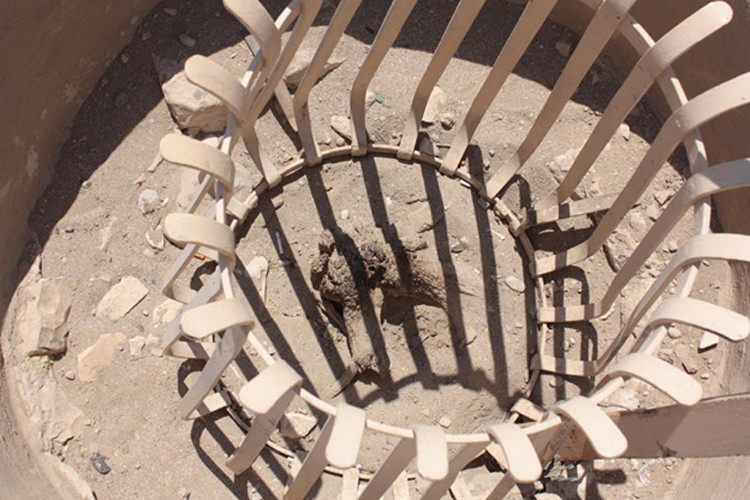 Picture 8 of Unexpected discovery of the