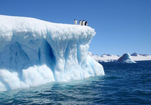 Picture 3 of Unexpected discovery of the thickness of the Antarctic ice sheet